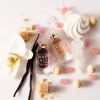 Vanilla Mini Duo (Vanilla | 28, Vanilla Candy) - Image 2