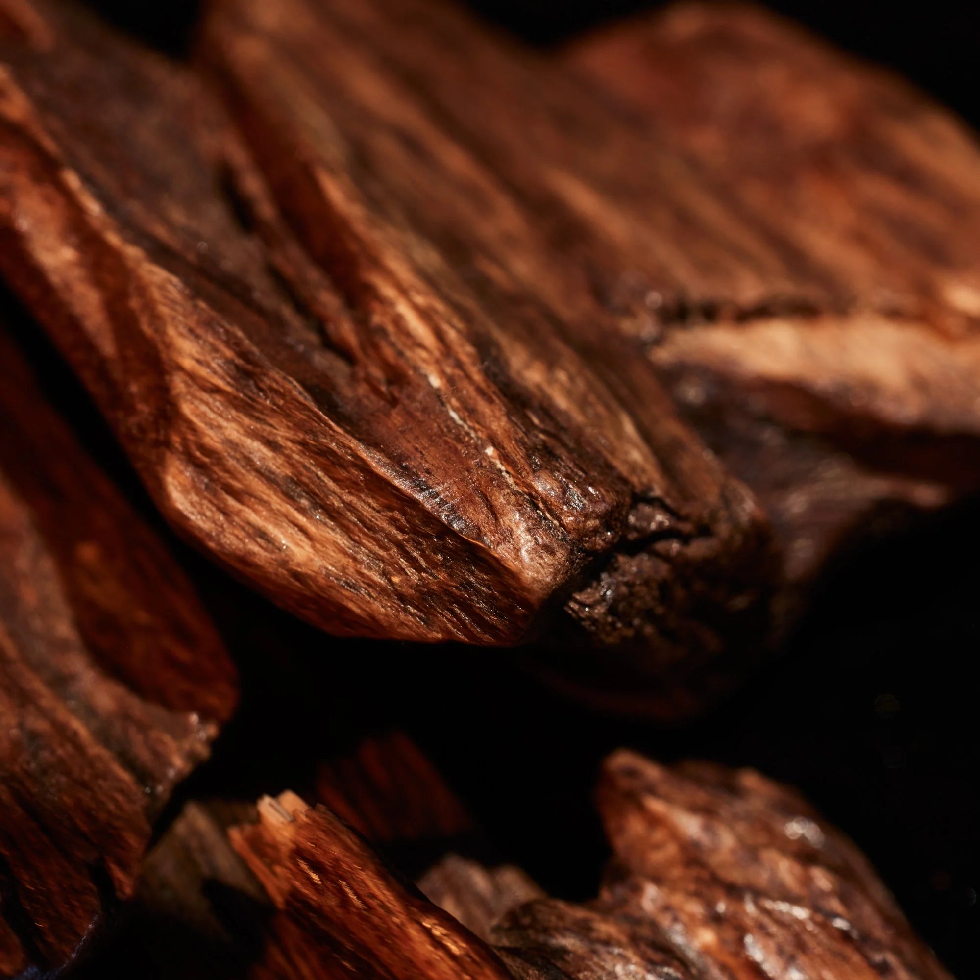 Oudgasm Tobacco Oud | 04 - Image 7